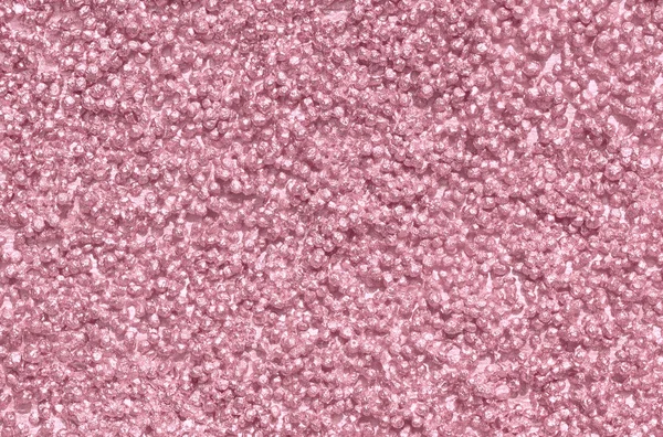 핑크, 장미, 청동 돌 담 돌 장미 — 스톡 사진