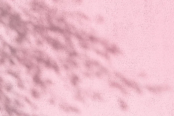 Тени листвы на розовой штукатурке — стоковое фото