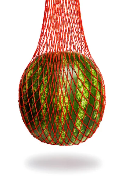Wassermelone hängt im Netz isoliert auf weißem Hintergrund Stockbild