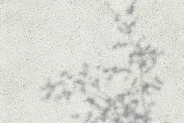 Schaduw van bladeren weerspiegeld op de witte muur — Stockfoto