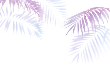 mor, beyaz bir arka plan üzerinde bordo palmiye yaprakları, beyaz arka plan, egzotik bitkiler izole tek elemanlar