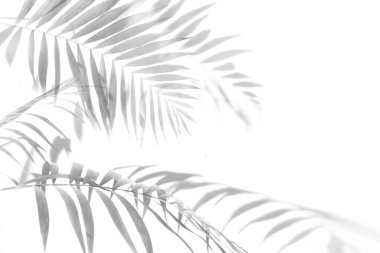 Avuç içinin gölgesi siyah beyaz monokrom görüntüsü bırakır.