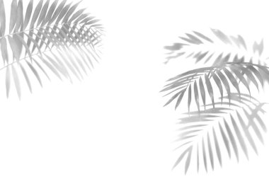 Avuç içinin gölgesi siyah beyaz monokrom görüntüsü bırakır.