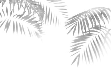 Avuç içinin gölgesi siyah beyaz monokrom görüntüsü bırakır.