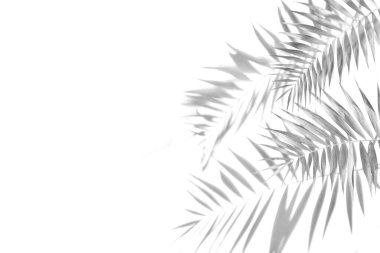 Avuç içinin gölgesi siyah beyaz monokrom görüntüsü bırakır.