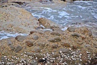 stoney Plajı ile deniz kıyısından bir kış günü