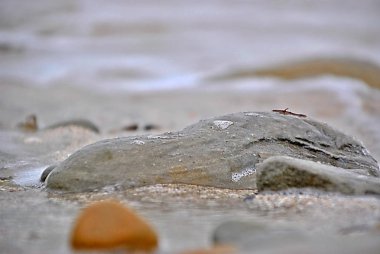 stoney Plajı ile deniz kıyısından bir kış günü