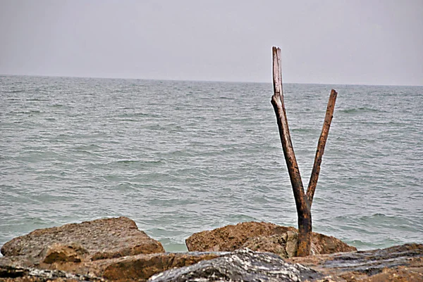 Stoney Plajı Ile Deniz Kıyısından Bir Kış Günü — Stok fotoğraf