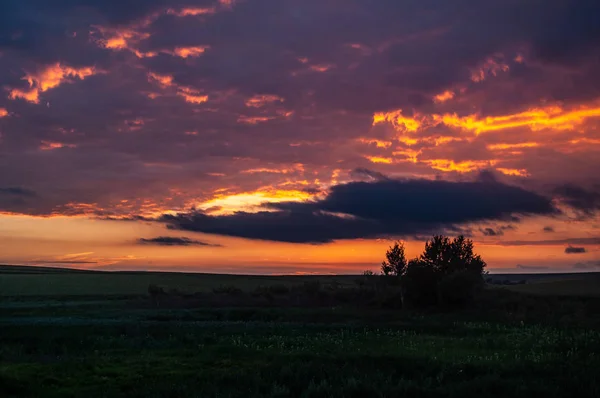 Восход солнца в поле — стоковое фото