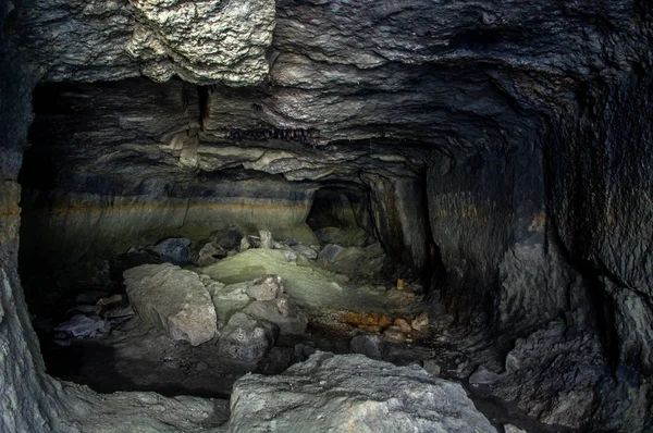 Murciélagos en una cueva —  Fotos de Stock