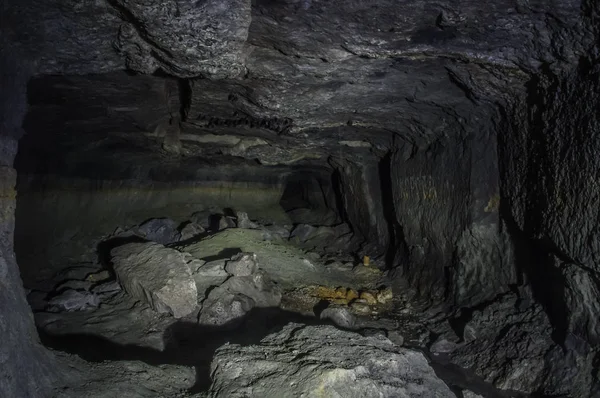 Murciélagos en una cueva —  Fotos de Stock