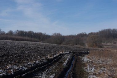 Karaca sürülmüş bir alanda