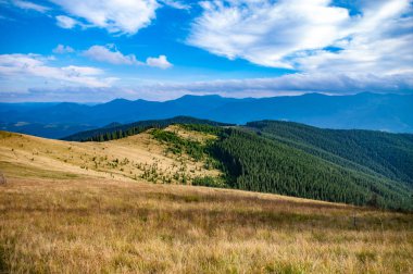 Yaz mevsiminde dağ çayırı