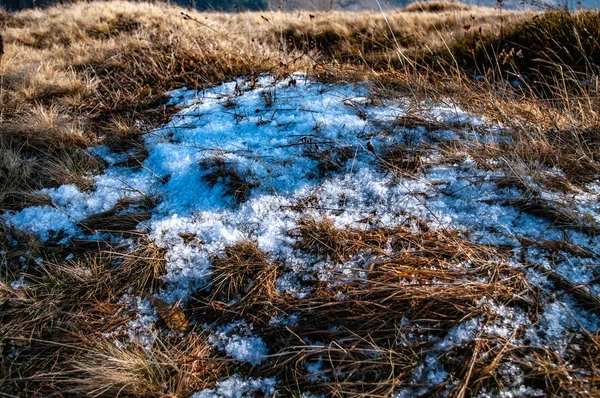 Сніг на траві — стокове фото
