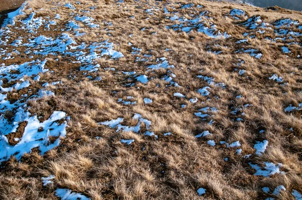 Snö på gräset — Stockfoto