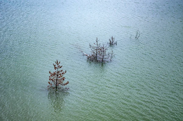 Poisonous lake in an old quarry — Stock Photo, Image