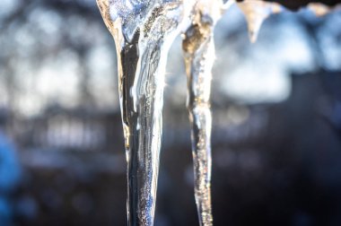 Kışın buz sarkıtları yakın çekim