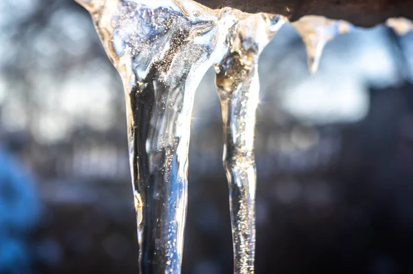 Kışın buz sarkıtları yakın çekim