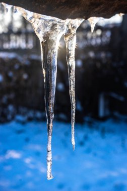 Çatıdan asılı buz sarkıtları yakın çekim