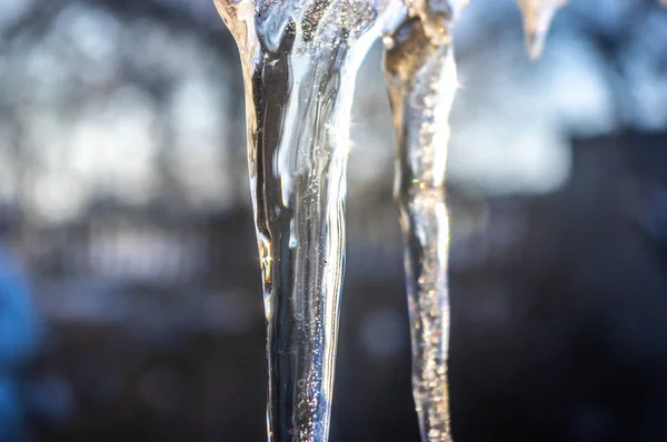 Icicles in winter close up — Stock Photo, Image