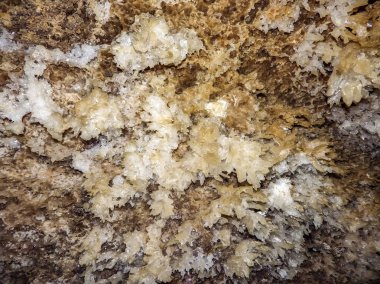 Bir mağarada alçı taşı kristalleri