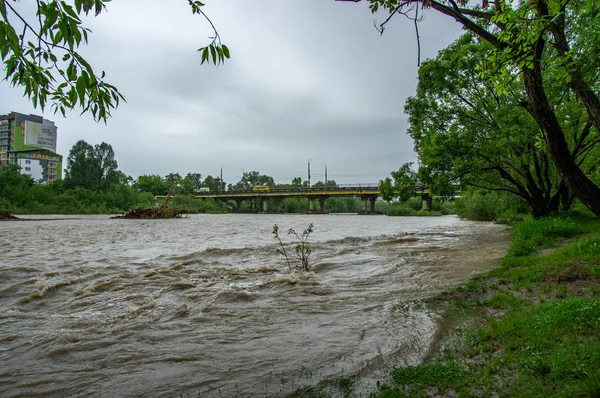 Spring flood on the river — Stock Photo, Image