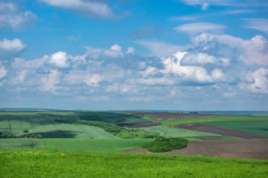 sürülmüş ve ekilen alan