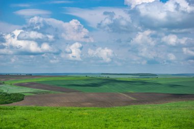 sürülmüş ve ekilen alan