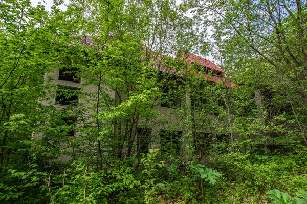 Bâtiment abandonné dans la forêt — Photo