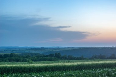 Bir yaz akşamı tarla ve tepeler
