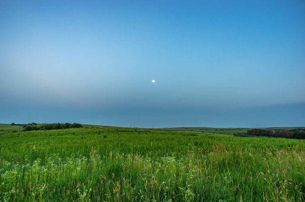 Поле и холмы в летний вечер
