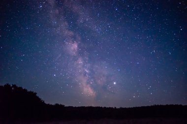 Ağaçların üzerinde yıldızlı gökyüzü