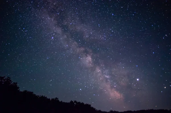 Cielo estrellado sobre los árboles — Foto de Stock