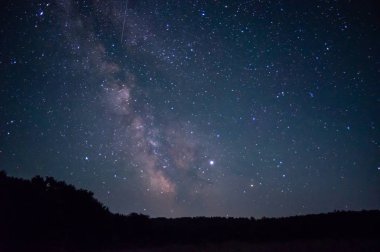 Ağaçların üzerinde yıldızlı gökyüzü