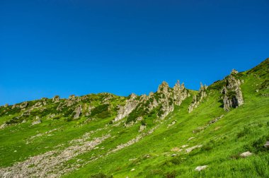 Karpat dağlarında kayalar