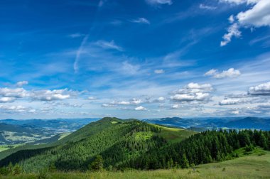 Güneşli bir dağ çayır