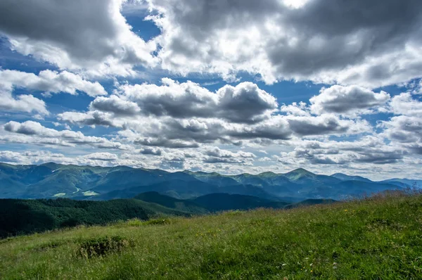 Güneşli bir dağ çayır — Stok fotoğraf