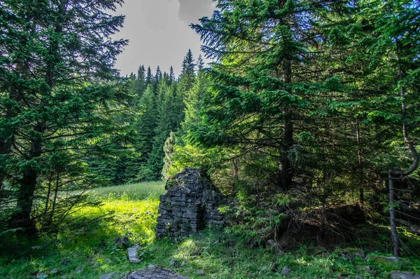 Overblijfselen van oude vernietigde gebouwen in het bos — Stockfoto