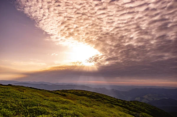 Sonnenaufgang im Sommer in den Bergen — Stockfoto