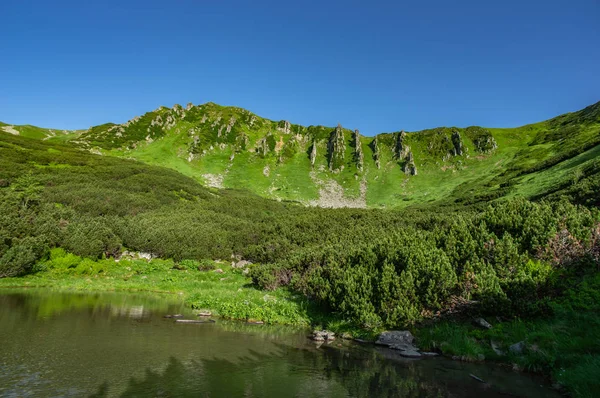 Mountain lake in the Carpathian mountains — Stock Photo, Image