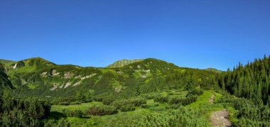 Yaz aylarında Karpat dağlarında Yol