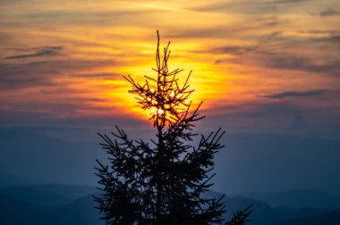 Dağlarda yazın şafak