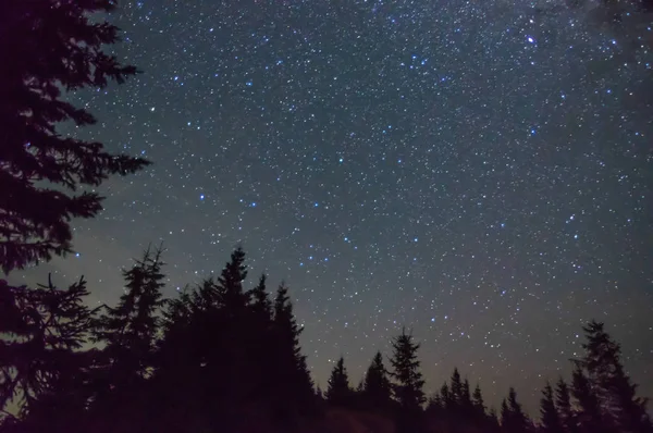 Cielo estrellado en las montañas en verano — Foto de Stock