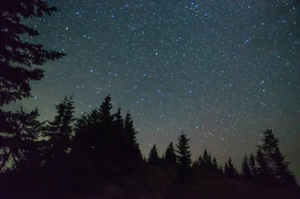 Céu estrelado nas montanhas no verão — Fotografia de Stock