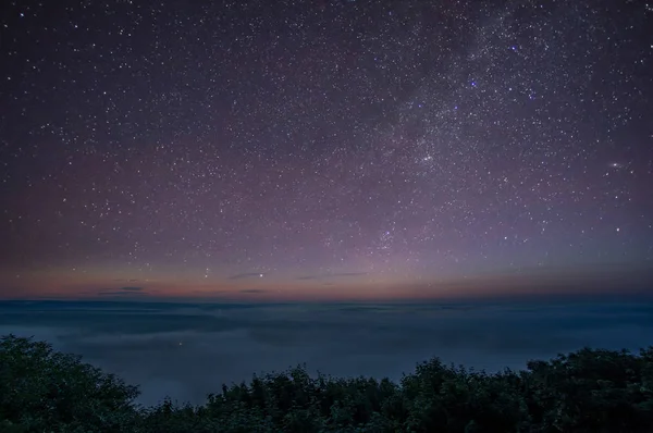 Stelle nel cielo e nebbia prima dell'alba — Foto Stock