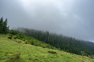 dağlarda sisli gün