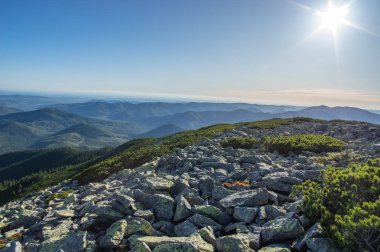Yaz aylarında Rocky Dağları
