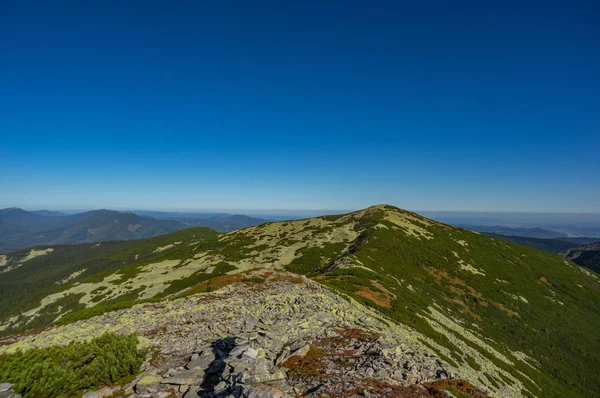 Rocky mountains in summer — Stock Photo, Image