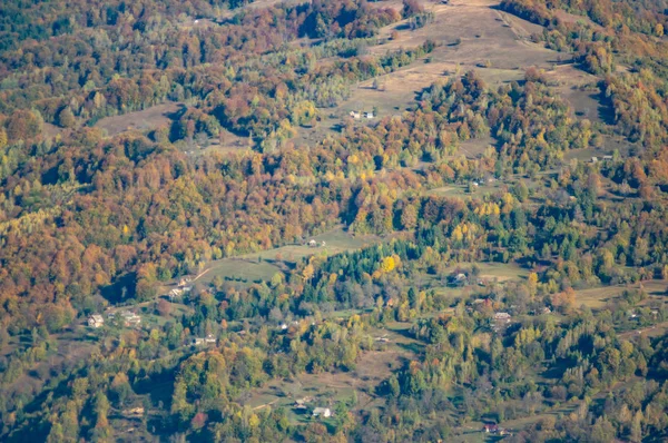 Farbige Laubwälder in den Bergen am Nachmittag — Stockfoto