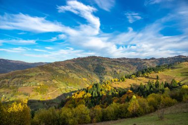 Dağlardaki sarı sonbahar ormanı